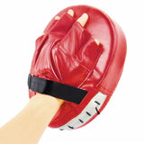 Boxing Mitt Training Pads