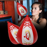 Fighting Training Speed Ball