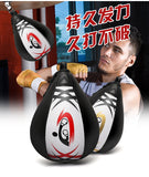 Fighting Training Speed Ball