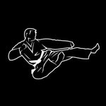 Unique Judo Martial Arts Accessories/Sticker